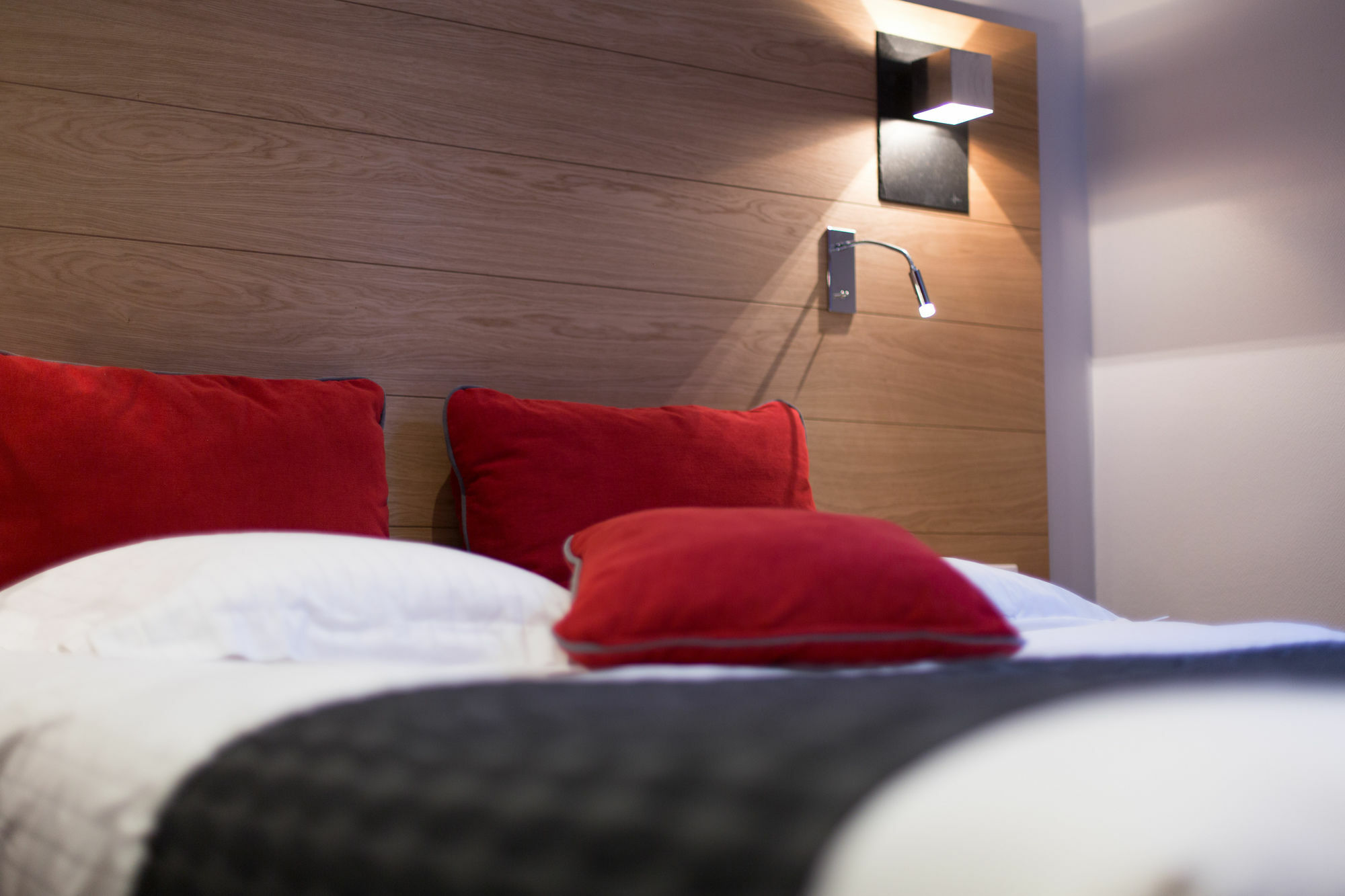 Hotel Des Princes, Chambery Centre Εξωτερικό φωτογραφία